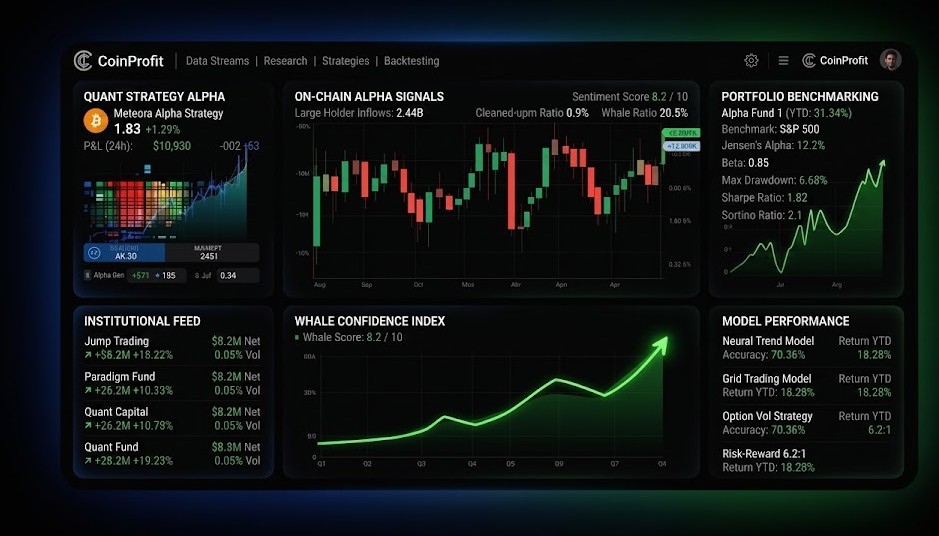 CoinProfit analytics dashboard preview